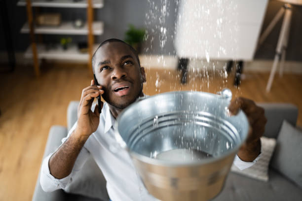 Best Residential water damage restoration  in Cattaraugus, NY
