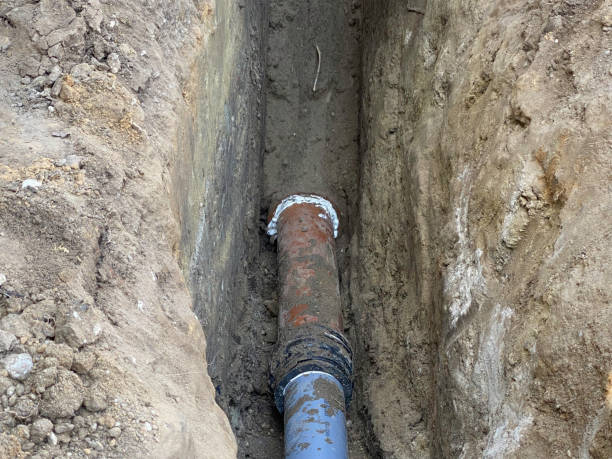 Best Flood damage cleanup  in Cattaraugus, NY