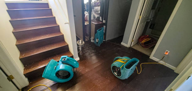 Best Water damage restoration near me  in Cattaraugus, NY