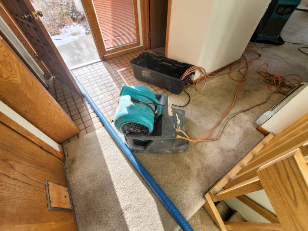 Best Water damage cleanup near me  in Cattaraugus, NY