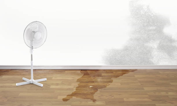 Best Flooded house restoration  in Cattaraugus, NY