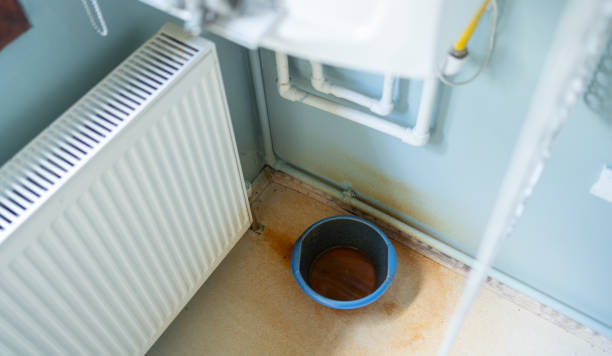 Best Basement water damage restoration  in Cattaraugus, NY