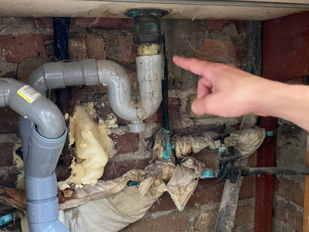 Best Water damage restoration near me  in Cattaraugus, NY